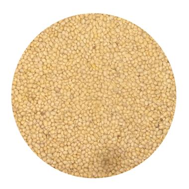 Soja ziarno a 25kg